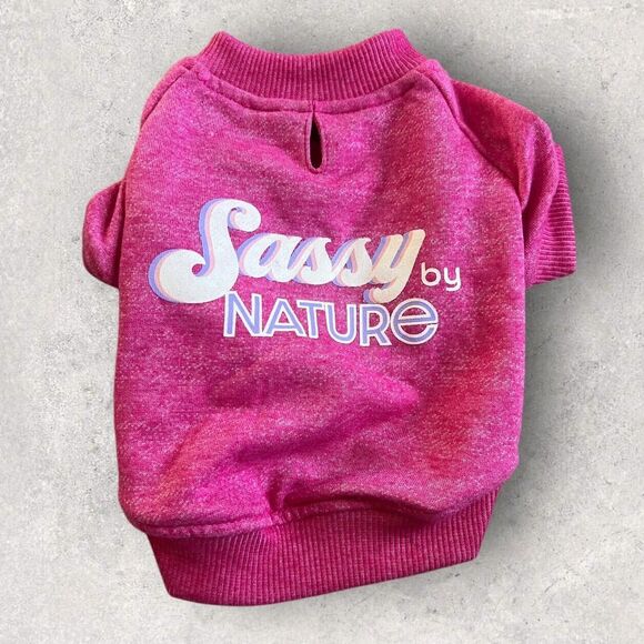 Sassy By Nature Graphic Lighweight Dog Pet Sweater Size XS - Picture 1 of 3